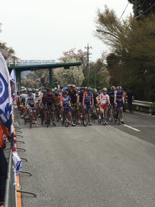 12938314_910897235685352_2671529022145521_n