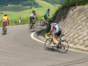 13528677_955250924583316_5868152725752606507_n